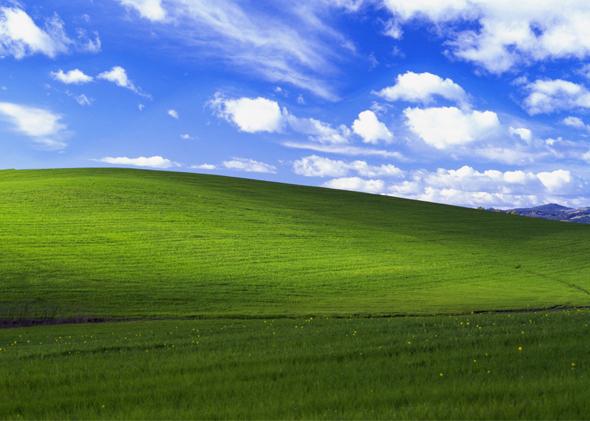 La storia del celebre sfondo Windows XP
